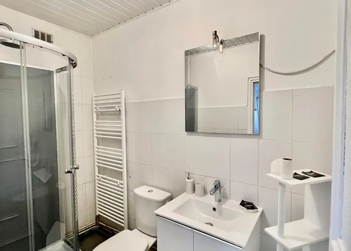 Charmant T3 Proche De La Gare * Clermont-Ferrand